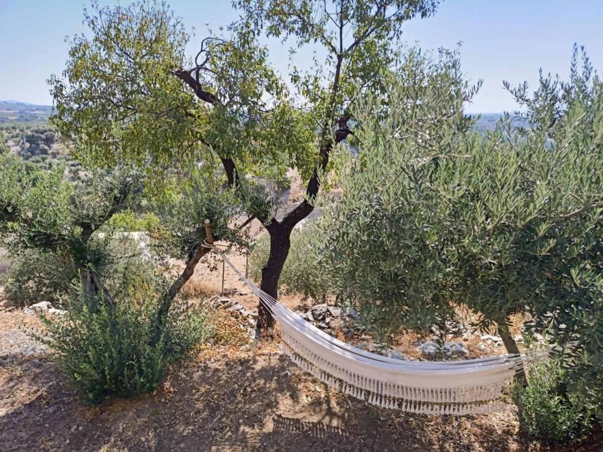 El Almendro De Fuentes Nuevas Villa Castril Luaran gambar