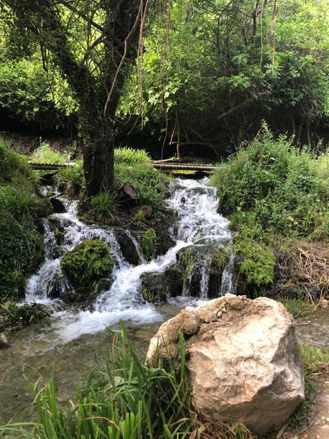 El Almendro De Fuentes Nuevas Villa Castril Luaran gambar